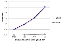 Southern Biotechnology Associates&nbsp;IgG Fab Goat anti-Rabbit, HRP, Polyclonal, Southern Biotech&trade;