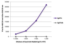 Southern Biotechnology Associates&nbsp;IgG Fc Goat anti-Rabbit, FITC, Polyclonal, Southern Biotech&trade;