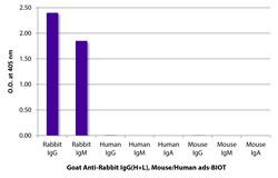 Goat Anti-Rabbit IgG (H+L Chain Specific) Secondary Antibodies, SouthernBiotech 1.0 mg | Buy Online | Southern Biotechnology Associates | Fisher Scientific