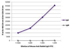 Southern Biotechnology Associates&nbsp;IgG Mouse anti-Rabbit, FITC, Clone: 2A9, Southern Biotech&trade;