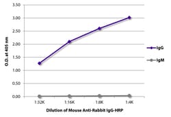 Southern Biotechnology Associates&nbsp;IgG Mouse anti-Rabbit, HRP, Clone: 2A9, Southern Biotech&trade;