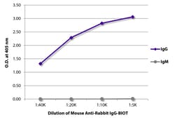 Southern Biotechnology Associates&nbsp;IgG Mouse anti-Rabbit, Biotin, Clone: 2A9, Southern Biotech&trade;