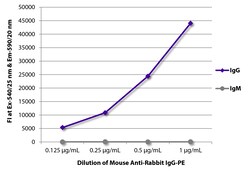 Southern Biotechnology Associates&nbsp;IgG Mouse anti-Rabbit, R-PE, Clone: 2A9, Southern Biotech&trade;
