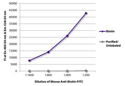 Biotin Mouse anti-, FITC, Clone: SB58c, Southern Biotech Fluorescein, 0.5mg:Antibodies,