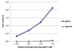 Southern Biotechnology Associates&nbsp;IgG Fc Donkey anti-Goat, HRP, Polyclonal, Southern Biotech&trade;