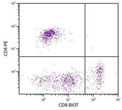CD8 Mouse anti-Feline, Lion, Tsushima Leopard Cat, Biotin, Clone: fCD8, Southern Biotech 0.5 mg | Buy Online | Southern Biotechnology Associates | Fisher Scientific