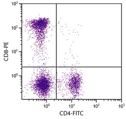 CD8 Mouse anti-Feline, Lion, Tsushima Leopard Cat, R-PE, Clone: fCD8, Southern
