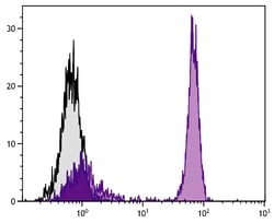 CD4 Mouse anti-Chicken, Turkey, Biotin, Clone: EP96, Southern Biotech Biotin,