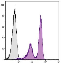 CD5 Mouse anti-Chicken, Unconjugated, Clone: 2-191, Southern Biotech Unconjugated,
