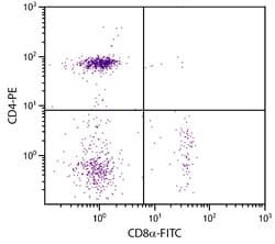 CD8 Mouse anti-Chicken, FITC, Clone: EP72, Southern Biotech Fluorescein,