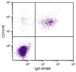 IgD Mouse anti-Human, AF 488, Clone: IADB6, Southern Biotech 0.1 mg | Buy Online | Southern Biotechnology Associates | Fisher Scientific