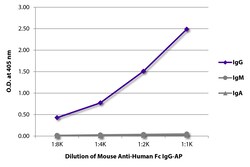 IgG Fc Mouse anti-Human, Rhesus Ma, Chimpanzee, AP, Clone: JDC-10, Southern