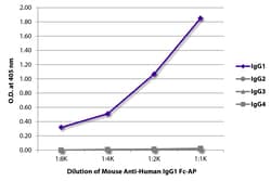 Southern Biotechnology Associates&nbsp;IgG1 Fc Mouse anti-Human, AP, Clone: HP6001, Southern Biotech&trade;