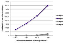 Southern Biotechnology Associates&nbsp;IgG2 Fc Mouse anti-Human, FITC, Clone: 31-7-4, Southern Biotech&trade;