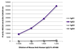 Southern Biotechnology Associates&nbsp;IgG2 Fc Mouse anti-Human, AF 488, Clone: HP6002, Southern Biotech&trade;
