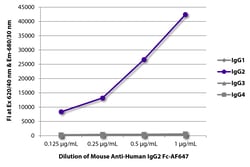 Southern Biotechnology Associates IgG2 Fc Mouse anti-Human, AF 647, Clone: HP6002, Southern Biotech™