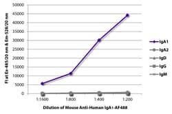 Southern Biotechnology Associates&nbsp;IgA1 Mouse anti-Human, AF 488, Clone: B3506B4, Southern Biotech&trade;