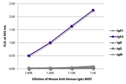 IgA2 Mouse anti-Human, Biotin, Clone: A9604D2, Southern Biotech 0.5 mg | Buy Online | Southern Biotechnology Associates | Fisher Scientific