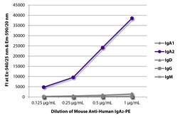 IgA2 Mouse anti-Human, R-PE, Clone: A9604D2, Southern Biotech R-phycoerythrin,