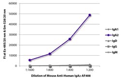 Southern Biotechnology Associates&nbsp;IgA2 Mouse anti-Human, AF 488, Clone: A9604D2, Southern Biotech&trade;