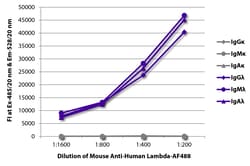 Southern Biotechnology Associates&nbsp;Lambda Mouse anti-Human, AF 488, Clone: JDC-12, Southern Biotech&trade;
