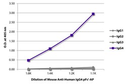IgG4 pFc' Mouse anti-Human, AP, Clone: HP6023, Southern Biotech Alkaline
