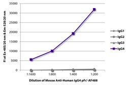 IgG4 pFc' Mouse anti-Human, AF 488, Clone: HP6023, Southern Biotech Alexa