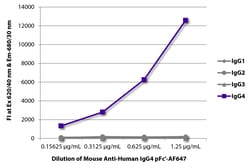 IgG4 pFc' Mouse anti-Human, AF 647, Clone: HP6023, Southern Biotech Alexa