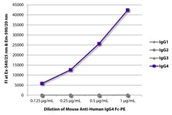 IgG4 Fc Mouse anti-Human, R-PE, Clone: HP6025, Southern Biotech R-phycoerythrin,
