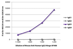 Southern Biotechnology Associates&nbsp;IgG3 Hinge Mouse anti-Human, AF 488, Clone: HP6050, Southern Biotech&trade;