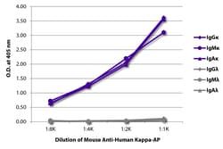 Kappa Mouse anti-Human, AP, Clone: SB81a, Southern Biotech Alkaline Phosphatase,