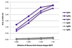 Southern Biotechnology Associates&nbsp;Kappa Mouse anti-Human, Biotin, Clone: SB81a, Southern Biotech&trade;