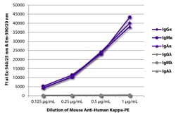 Southern Biotechnology Associates&nbsp;Kappa Mouse anti-Human, R-PE, Clone: SB81a, Southern Biotech&trade;