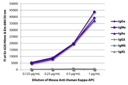 Kappa Mouse anti-Human, APC, Clone: SB81a, Southern Biotech 0.1 mg | Buy Online | Southern Biotechnology Associates | Fisher Scientific