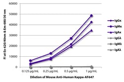 Kappa Mouse anti-Human, AF 647, Clone: SB81a, Southern Biotech™