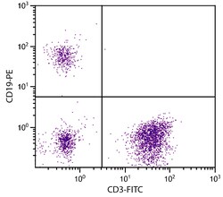 CD19 Mouse anti-Human, R-PE, Clone: SJ25-C1, Southern Biotech R-phycoerythrin,