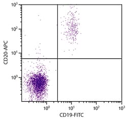 CD20 Mouse anti-Human, Feline, APC, Clone: B-Ly1, Southern Biotech Allophycocyanin,