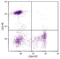 CD8 Mouse anti-Human, FITC, Clone: RFT8, Southern Biotech Fluorescein,