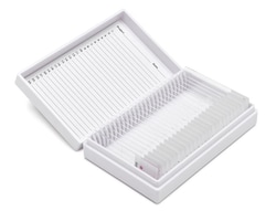 StatLab TTF-1 Thyroid IHC Control Slides