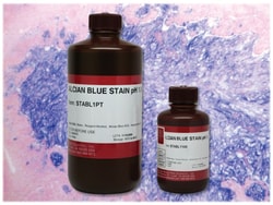 StatLab&nbsp;MasterTech Alcian Blue Stain pH 1.0