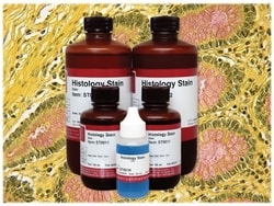 StatLab™ MasterTech Mucicarmine Stain