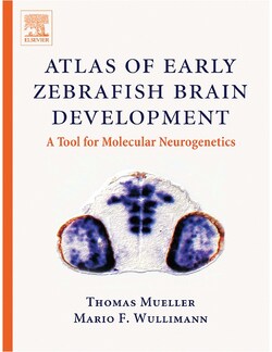 Stoelting Atlas of Early Zebrafish Brain Development Atlas of Early Zebrafish