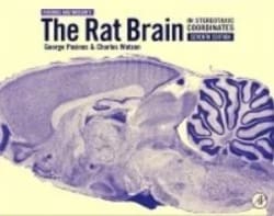 Stoelting Rat Brain in Stereotaxic Coordinates, 7th Edition 6th Edition:Animal