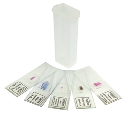 Supertek™ Elementary Glass Slide Set