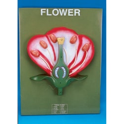 Supertek&trade;&nbsp;Flower Model