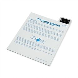 Supertek™ Microslide™ - Chick Embryo