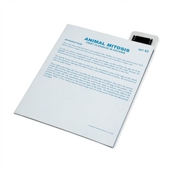 Supertek™ Microslide™ - Animal Mitosis