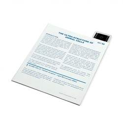 Supertek™ Microslide™ - Ultra Structure of Animal Cell