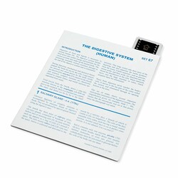 Supertek™ Microslide™ - Digestive System