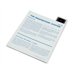 Supertek™ Microslide™ - Respiratory System